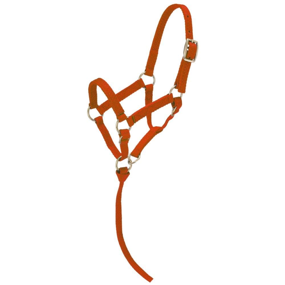 Tough1 Miniature Nylon Halter - Red - Large