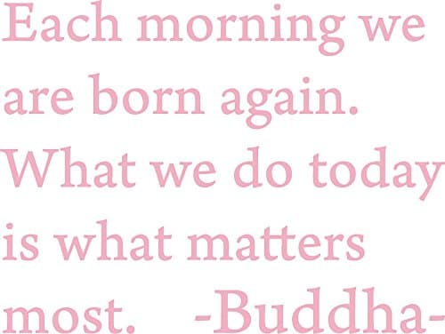 Pink 22" x 16" Each Morning we are Born Again. Buddha Vinyl Wall Art Inspirational Quotes and Saying Home Decor Decal Sticker