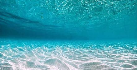 Dtekoj 60X24IN Natural Undersea Aquarium Background, Undersea Beach Fish Tank Background, with 8 EVA Double-Sided Tape