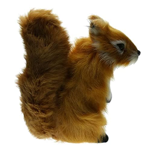 Duiaynke Simulated Squirrel Statues, Realistic Animals Taxidermy Statues, Squirrel Garden Decor, Shop Window Home Decor