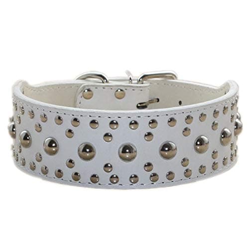 Pimaodog Studded Dog Collar, Leather Dog Collar for Medium Large Dogs Pitbull Doberman (L:19-22 inch, White)