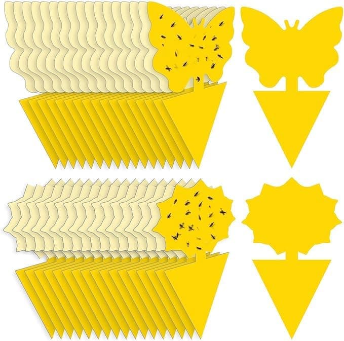 Fruit Fly Traps Fungus Gnat Traps Yellow Sticky Bug Traps 40 Pack