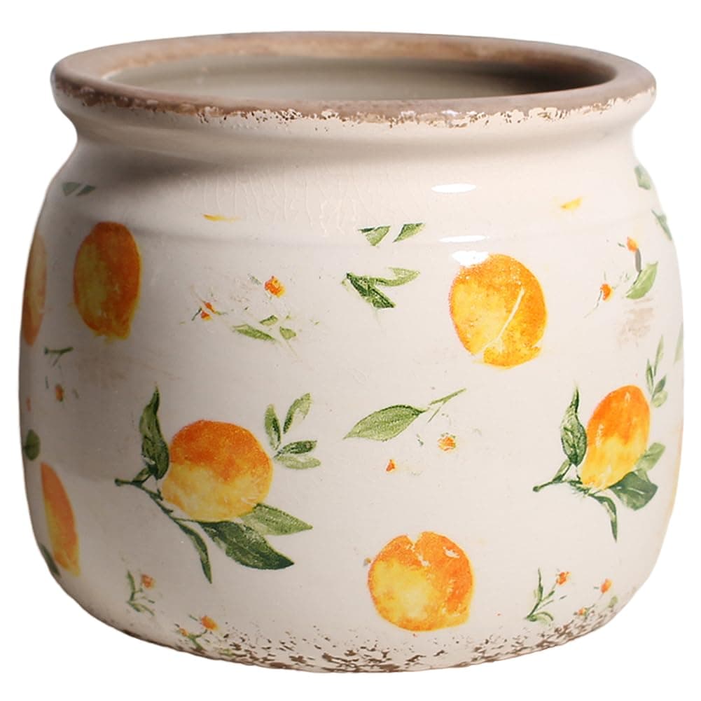 Xiaan Jiaju Ceramic Planters for Indoor Plants, Medium Lemon Planter Pot with Drainage Hole, Crackle Glaze Finish