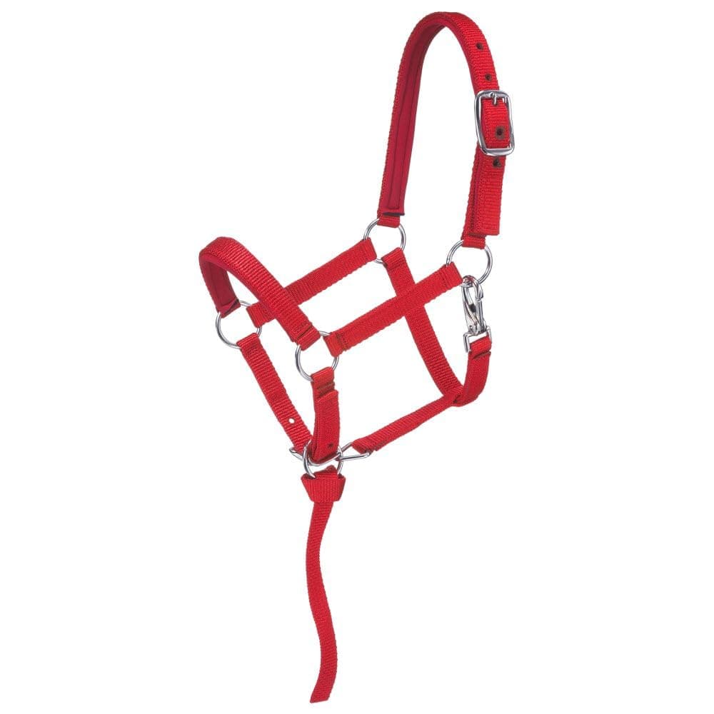 Tough1 Miniature Nylon Padded Halter - Red - Large