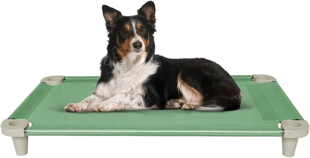 Acrimet Cooling Elevated Pet Dog Bed Cot, Washable and Breathable Mesh Fabric, Stainless Steel Frame, Indoor & Outdoor Use, fits Dogs up to 49 Kg Size: 102cm x 61cm x 11cm, Green, 1 Unit