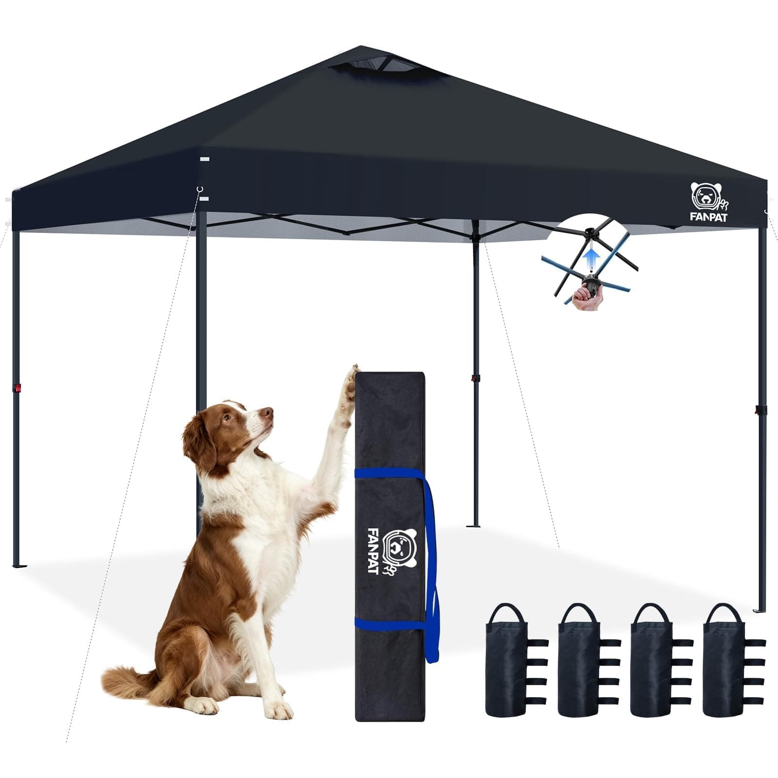 FANPAT 10x10 Pop Up Canopy Tent, Instant Portable Shelter, Black, 10x10