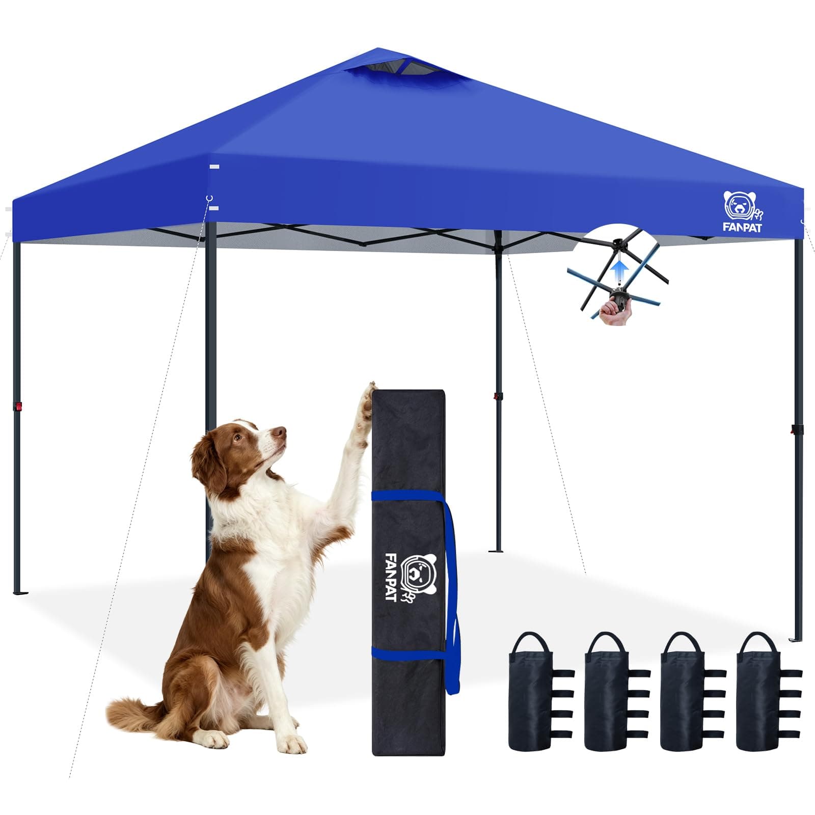 FANPAT 10x10 Pop Up Canopy Tent, Instant Portable Shelter, Blue, 10x10