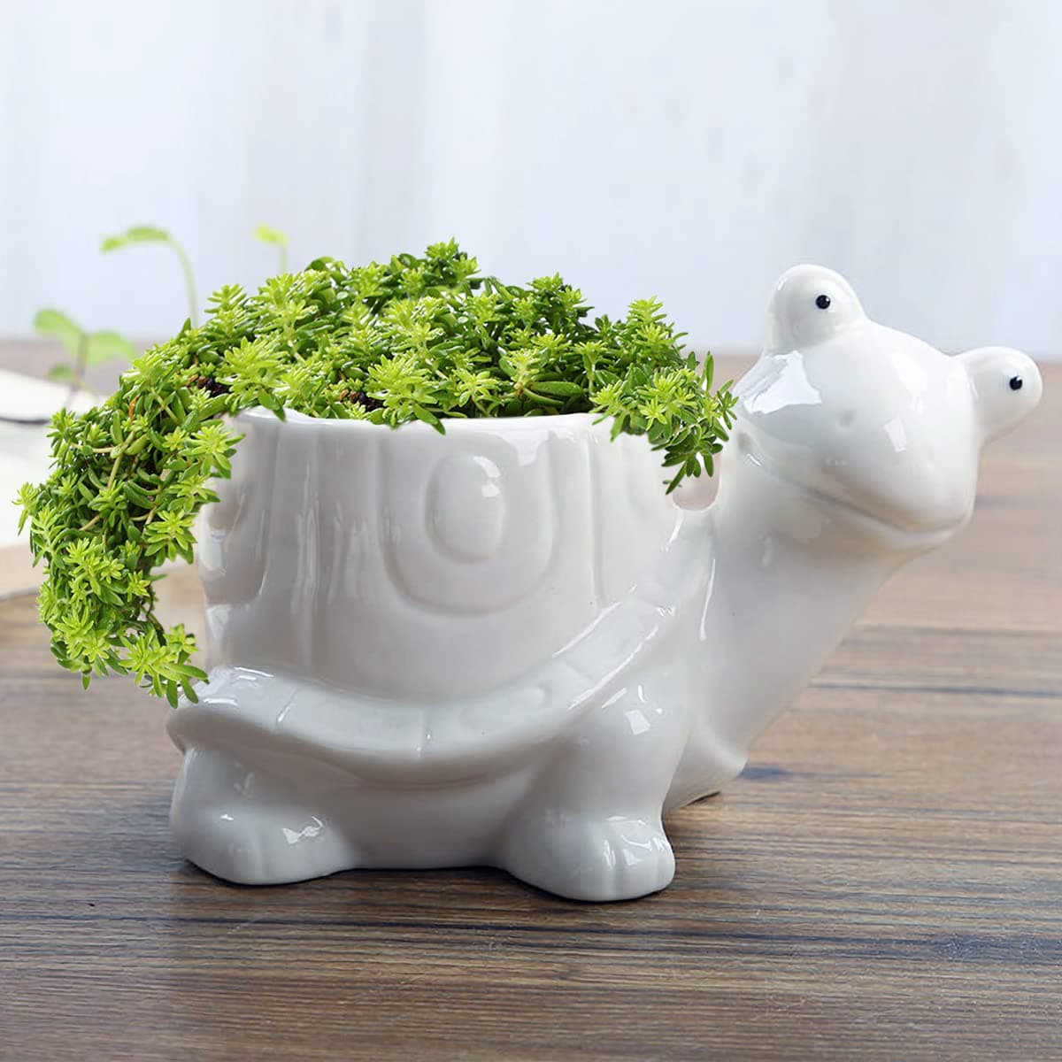 GeLive Tortoise Succulent Planter Turtle Plant Pot Animal Fun Vase Window Box Cute Home Decoration