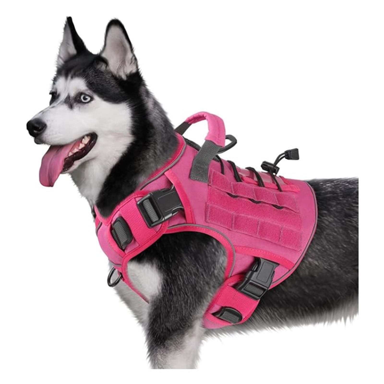 Dog Training Harness Vest, Anti-Pull Design, Nylon, S, F S
