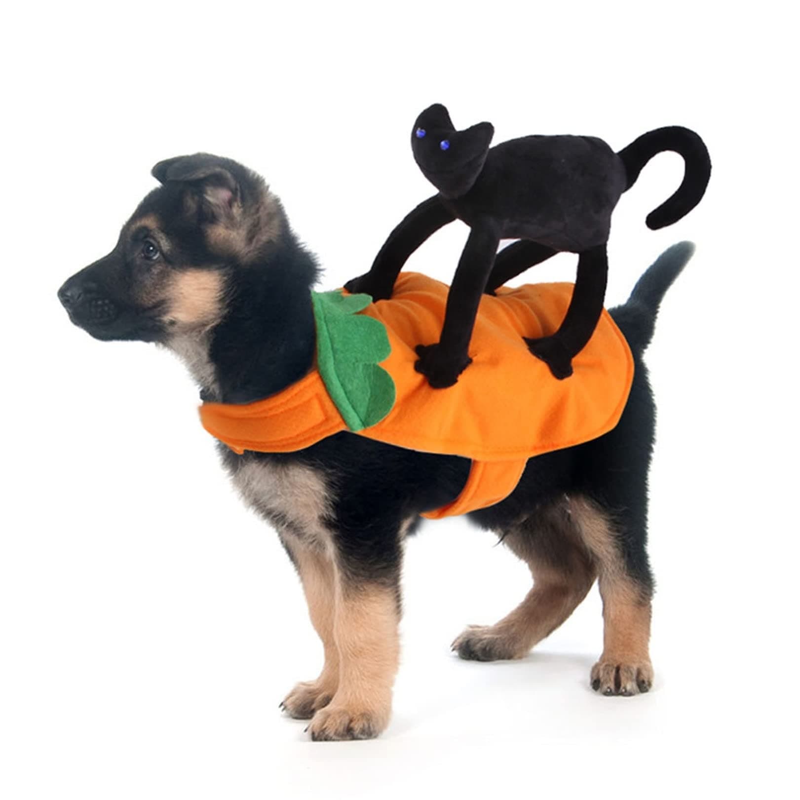 Halloween Dog Costumes Pet Clothes Dressing Up Jacket Coats for Dogs Funny French Bulldog Chihuahua Pug Halloween Cosplay Clothing (Color : Black, Size : Medium)