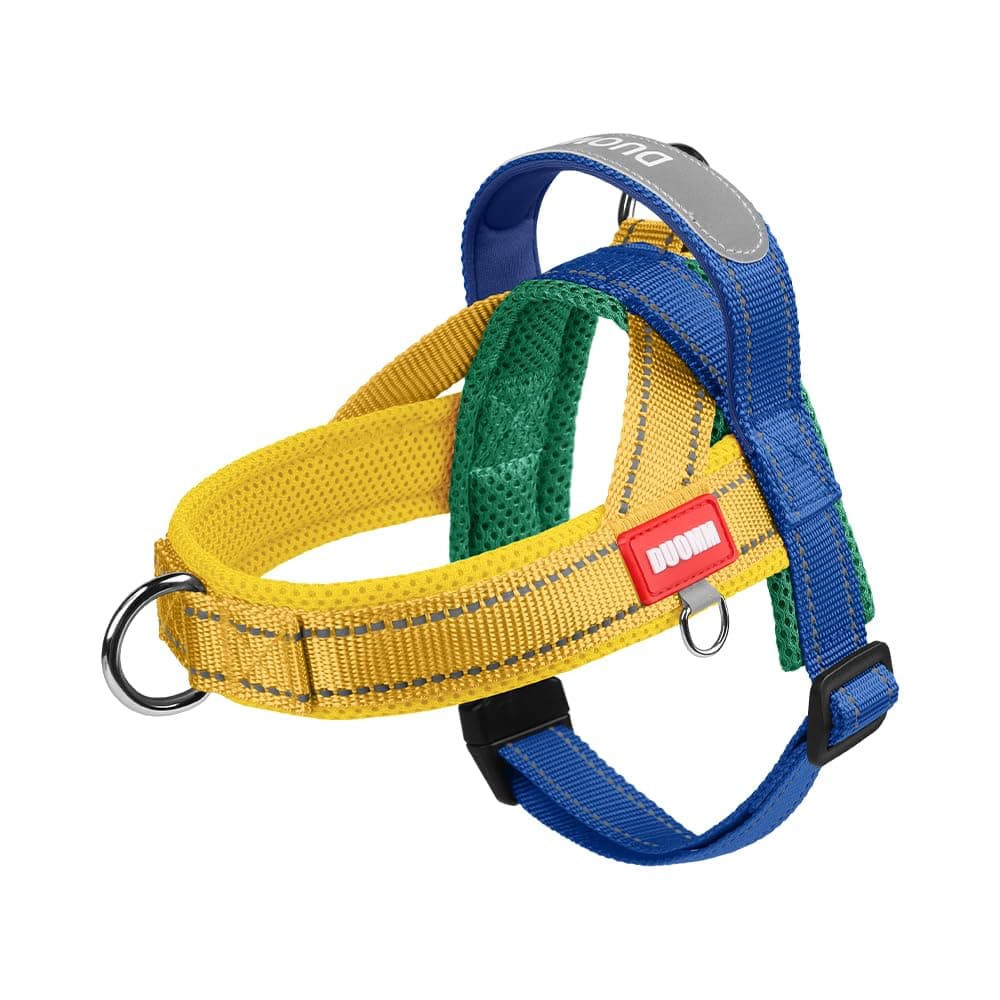 BK-Y Harness-Green-S