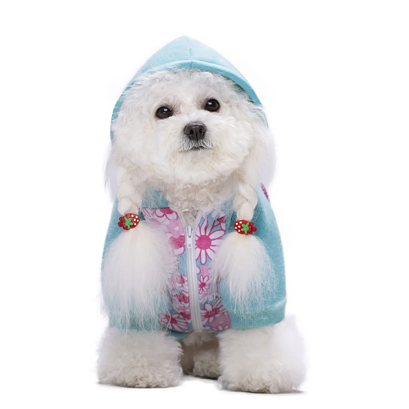 Miaododo Small Dog Clothes,Flower Printing Lightweight Puppy Hoodie with Pocket, Hooded Pet Sweatshirt Doggie Outfits Cat Apparel (L, Blue)