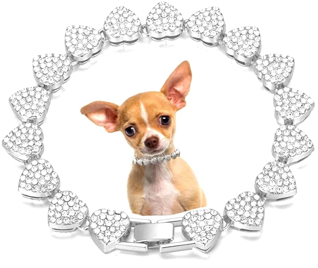 Pimaodog Dog Chain Collar, Heart Style Bling Diamond Cuban Link Dog Collars Glitter Chain Rhinestone Puppy Necklace for for XXS XS Small Medium Pet Dogs Cats (Silver, 22 Inch)