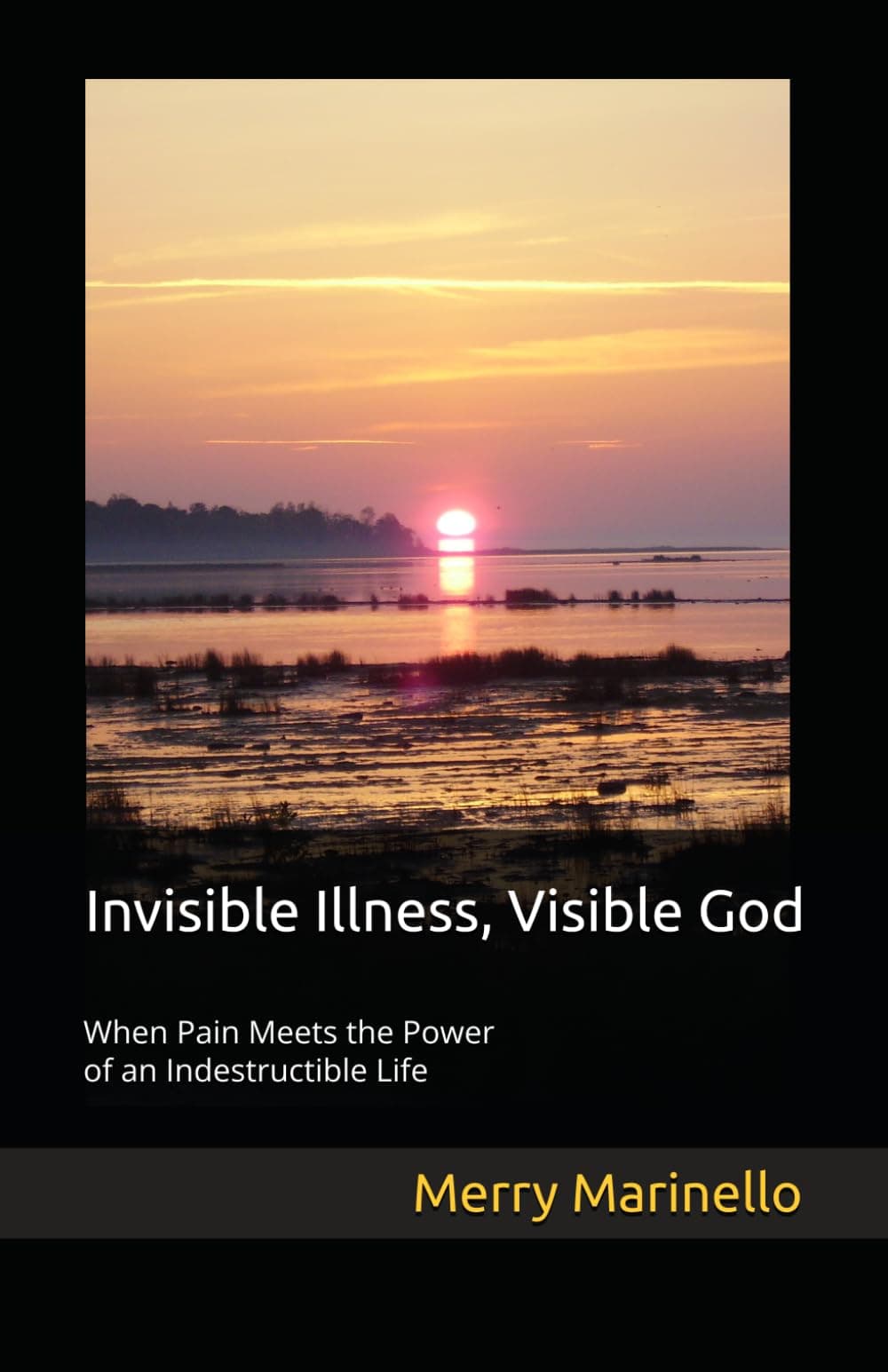 Invisible Illness, Visible God: When Pain Meets the Power of an Indestructible Life