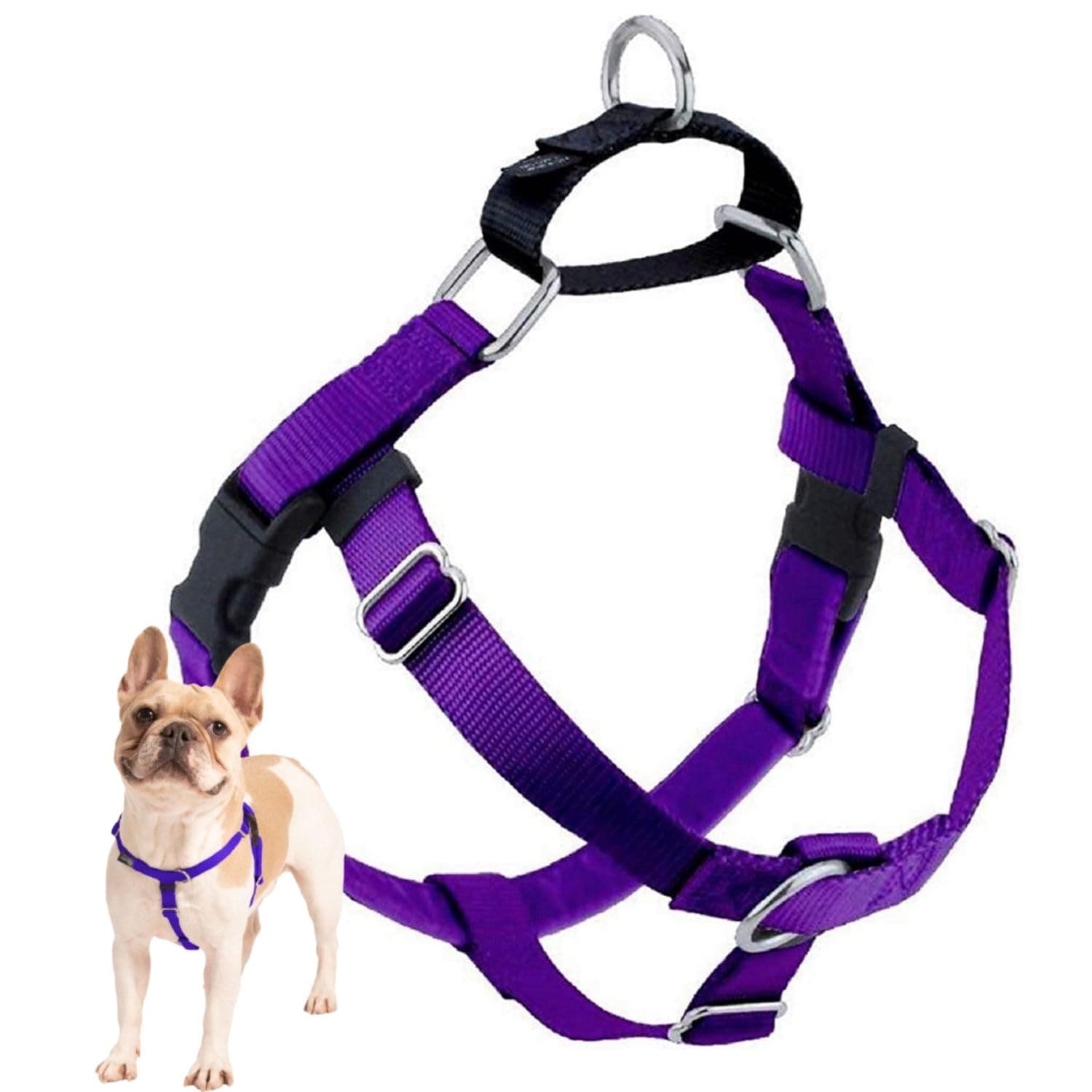 2 Hounds Design Freedom No Pull Dog Harness, 1 inch XXL, Purple