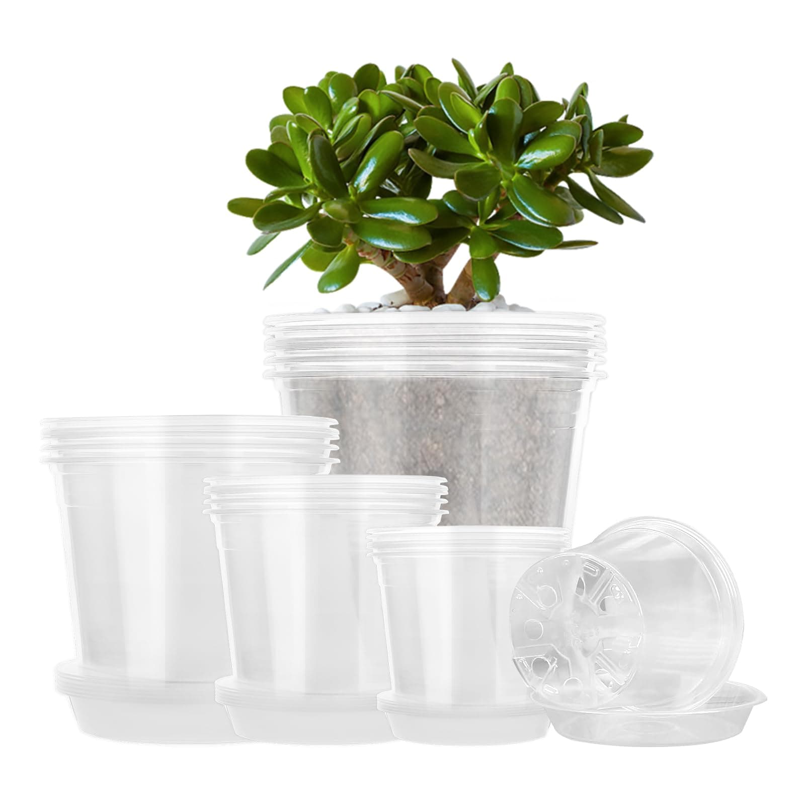 4/5/6/7 Inch Clear Nursery Pots for Plants with 20 Pack, Plant Pot for Planting Plastic Seedling with Drainage Holes, High Transparency Pack Seedlings Garden Pots for Indoor Plants (20 Pack)