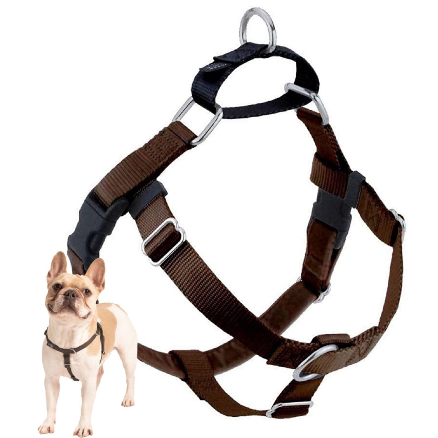 2 Hounds Design Freedom No Pull Dog Harness, 1 inch XL, Brown