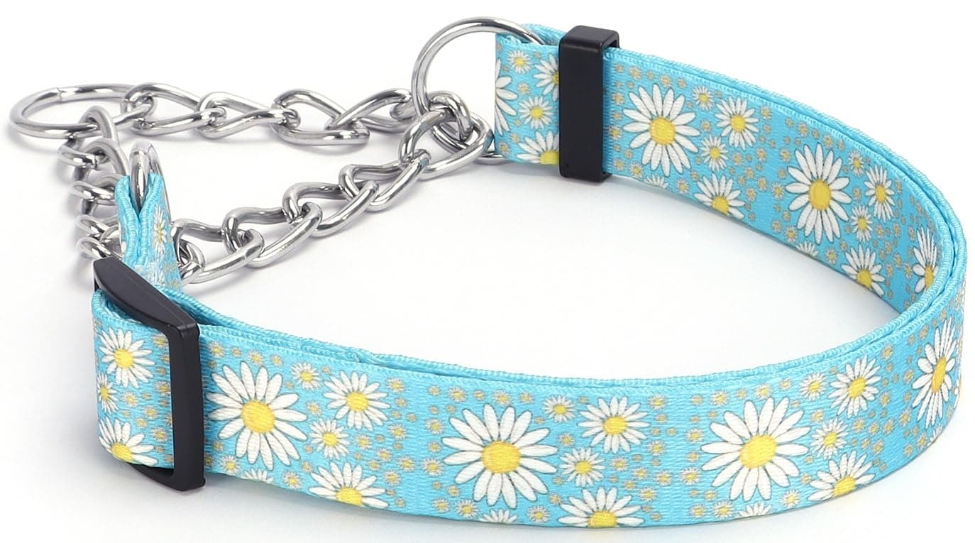 haoyueer Martingale Dog Collar with Stainless Steel Chain - Cute Daisy Design Patterns Pet Collar for Large, Medium Dogs (Light Blue, Large)