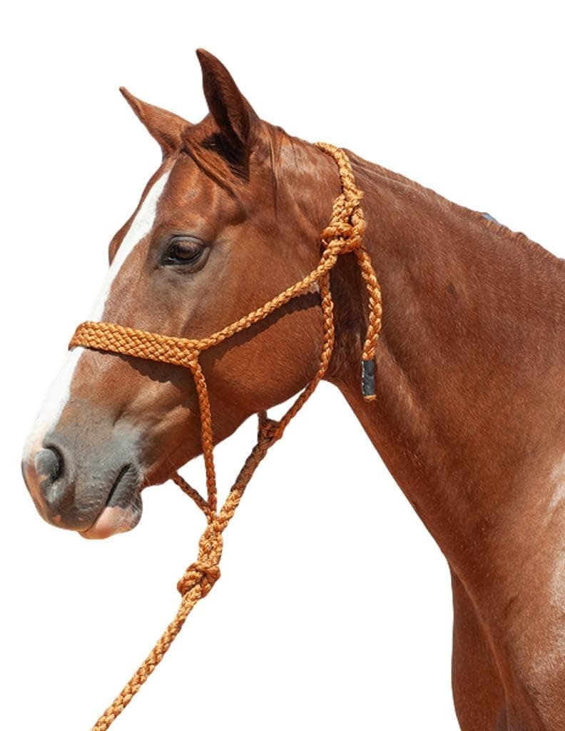 Cashel Flat Braid Halter and Leadrope, Copper