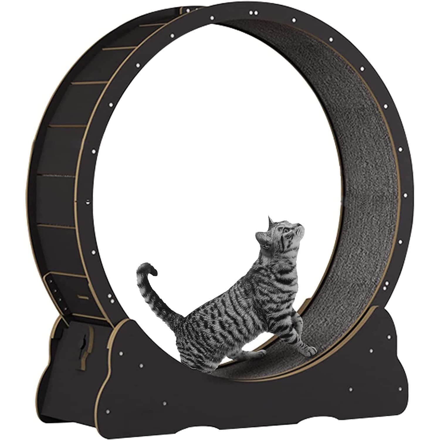 Cat Exercise Wheel – Running, Spinning, and Scratching Fun, Cat Treadmill with Carpeted Runway, Cat Sport Toy, Great for Physical Activity and Reducing Boredom,L-Black
