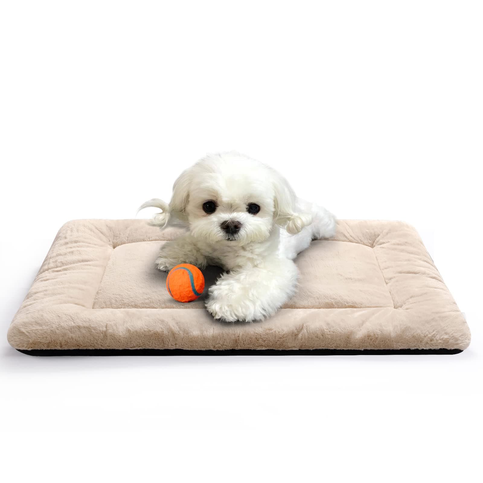 Dog Beds Crate Pad for Extra Small Dogs Fit Metal Dog Crates,Ultra Soft Dog Crate Bed Washable & Anti-Slip Kennel Pad for Dogs Cozy Sleeping Mat,Cream 22inch