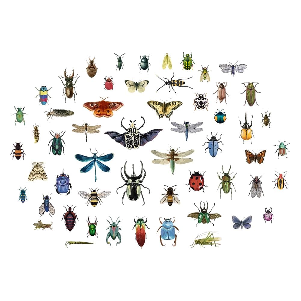 SUPERDANT Vintage Insects Scrapbook Wall Sticker Black Butterfly Insect Wall Decals Peel and Stick Large Size Vinyl Art Decal Home Decor for Livingroom Bedroom Kitchen Kids Room Decoration Gifts