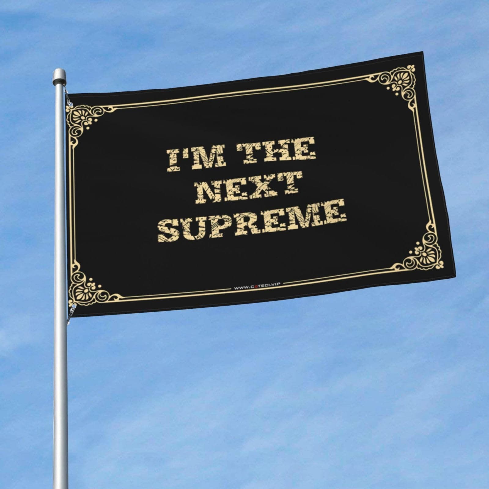 Outdoor Bar Accessories Decor I'M The Next Supreme Flag Funny Room Flags Funny Wall Flags (Color : Colour, Size : 120X180CM)
