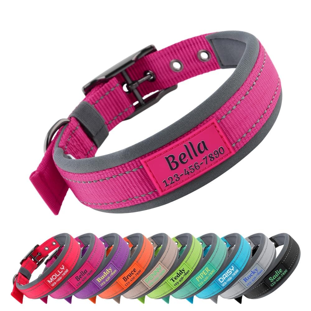 Personalized Dog Collar with Name and Number for Large Medium Small Dogs