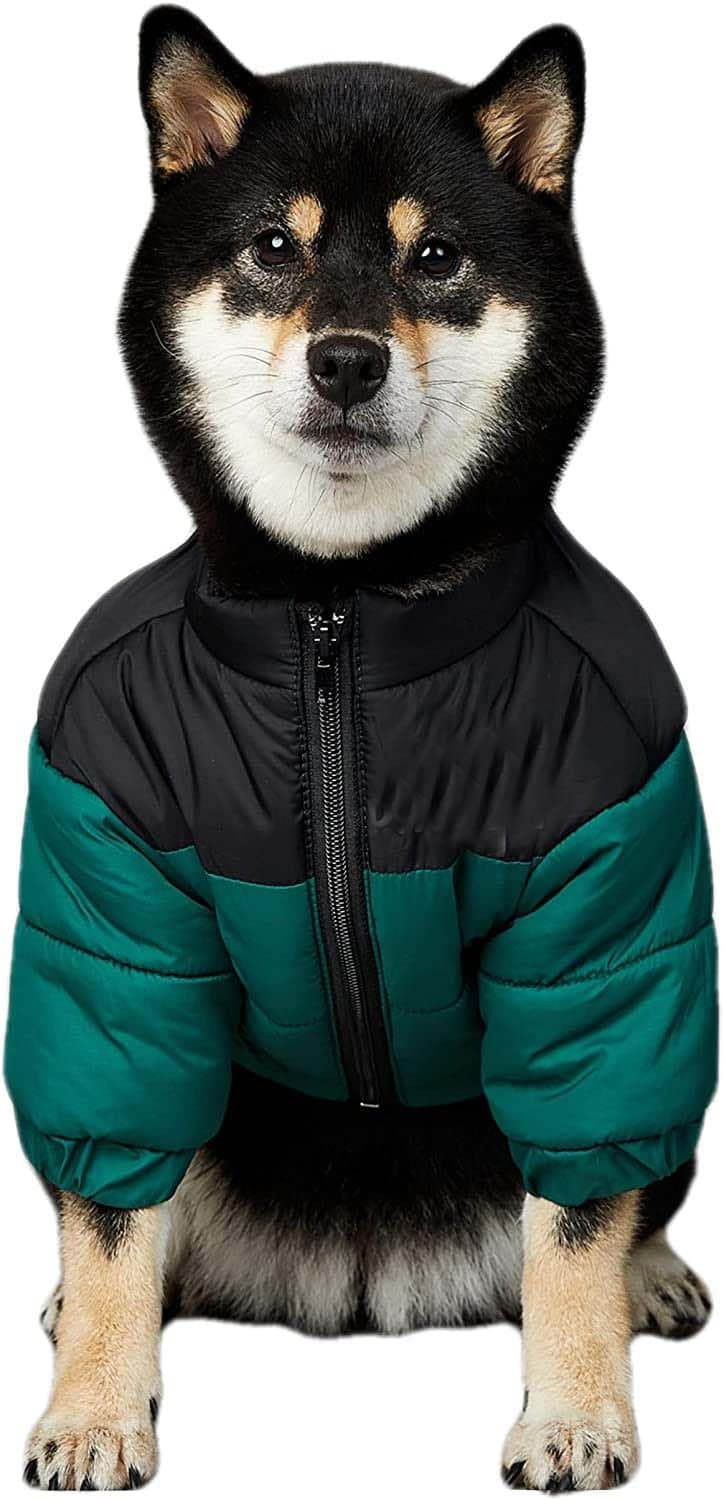 Warm Dog Coat Winter Jacket for Small Medium Dogs Cats -Thicken Dog Coat Windbreaker Puppy Winter Clothes for Cold Weather Snowday (Green, 3XL (Chest: 29'' / Suggest: 28-46 lbs))