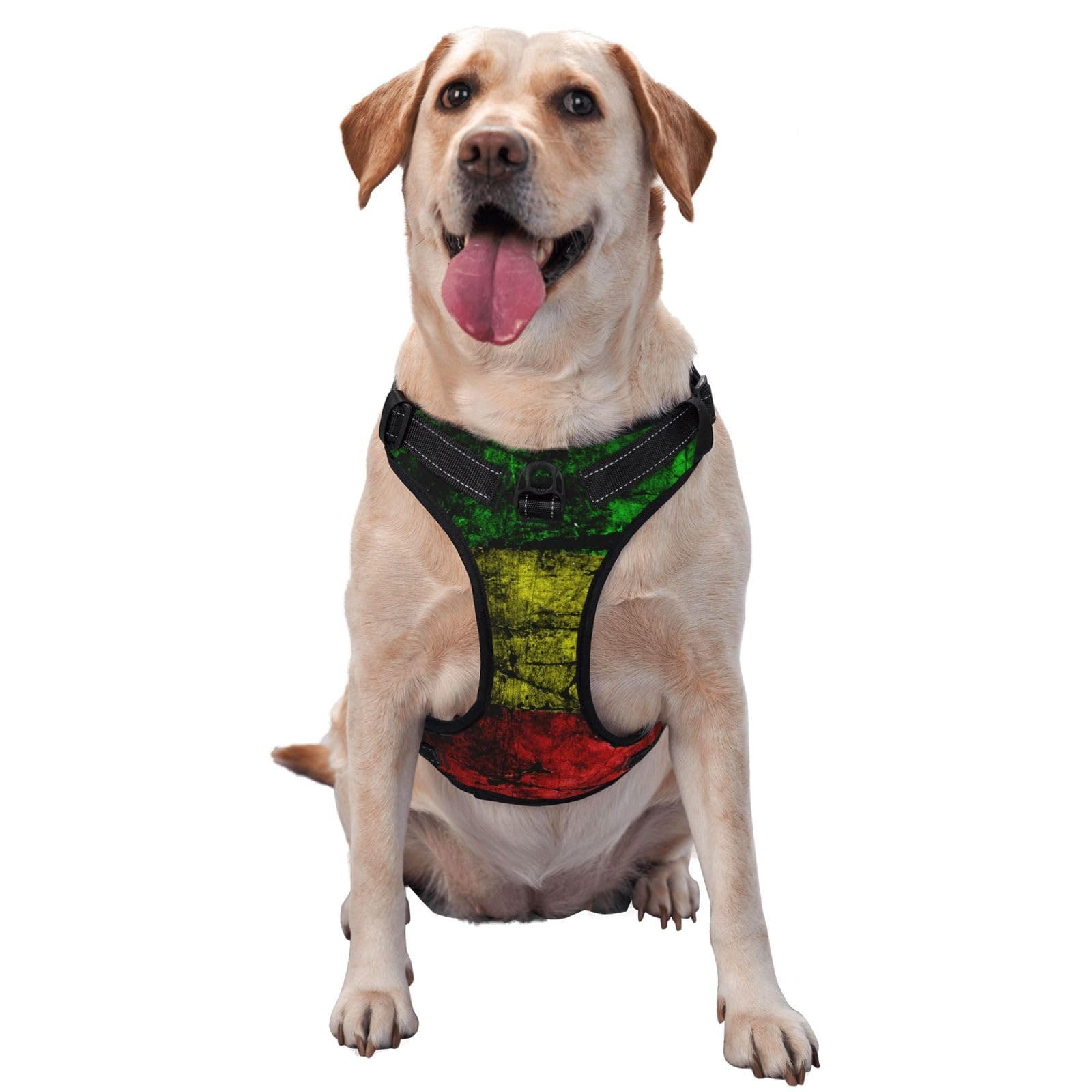 Adjustable Pet Harness Collar and Leash Set for Dogs Puppy and Cats Outdoor Training and Running, Soft Vest Harness (Red Yellow Green Rasta Flag)