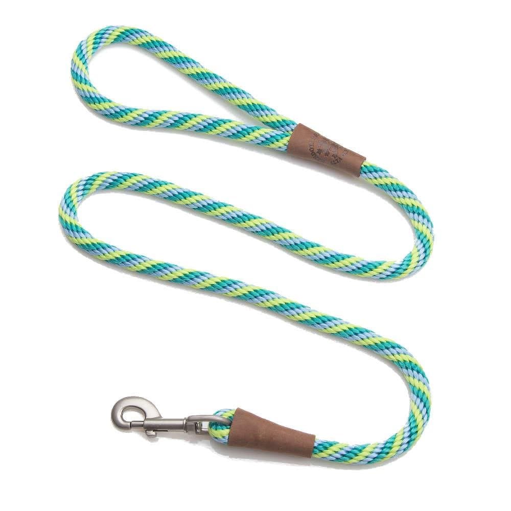 Mendota Dog Products 3/8-Inch by 6-Feet Snap Leash, Small, Twist Sea Foam