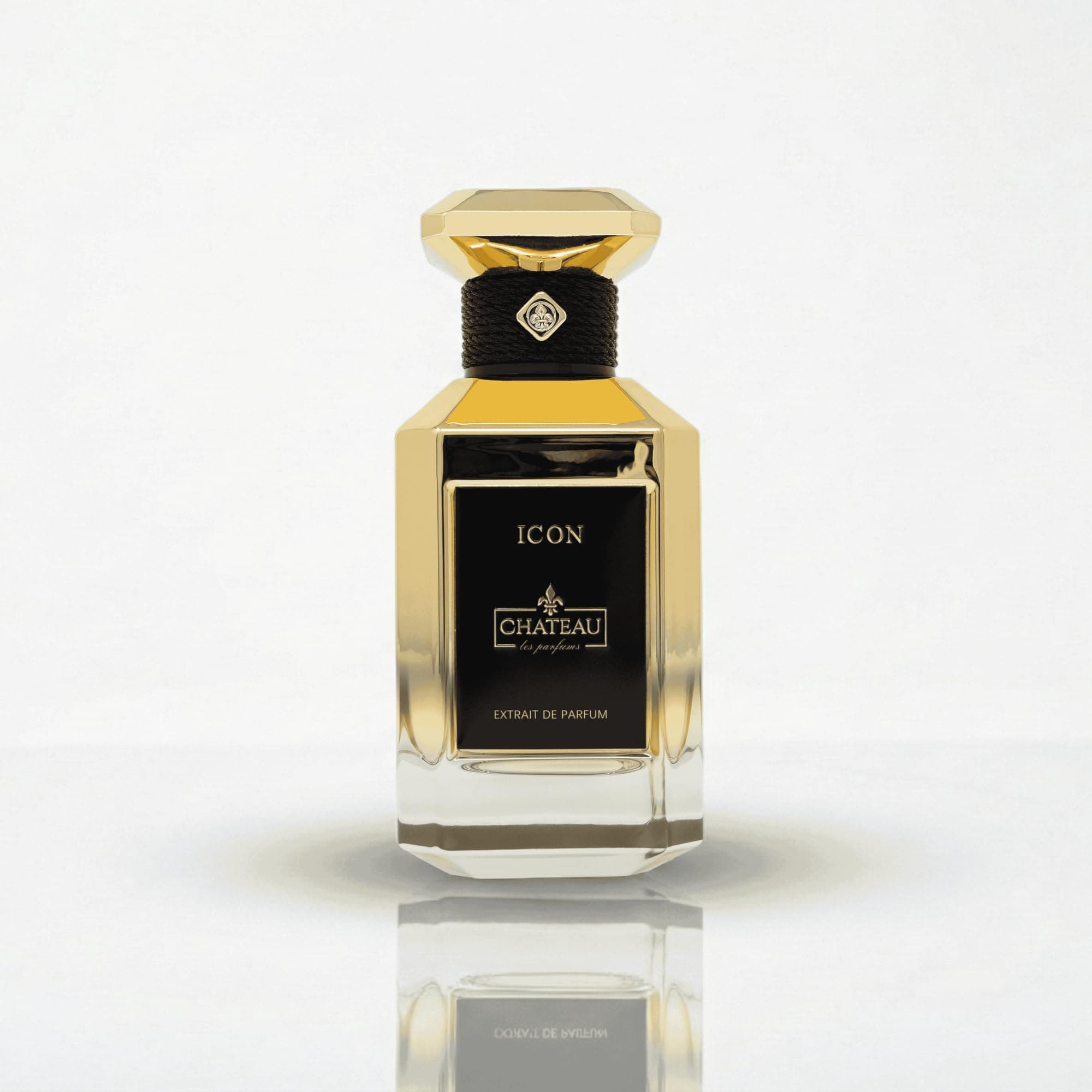 Chateau Les Parfums Icon Extrait De Parfum Spray for Unisex, 3.4 Ounce
