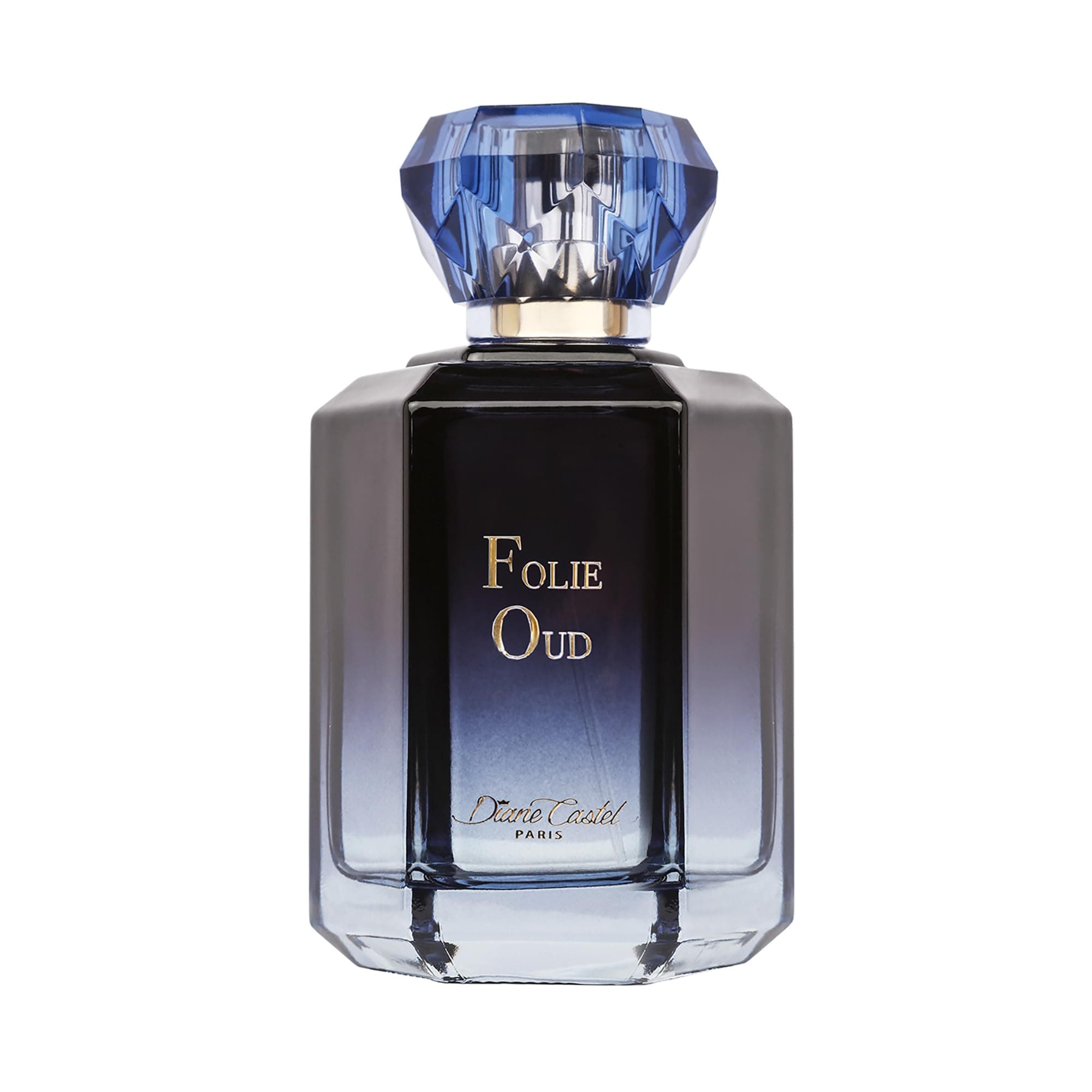 DIANE CASTEL ELEGANZA Diane Castel Folie Oud - Floral Woody Amber Fragrance - Exotic Perfume for Women - Women's Fragrances with Jasmine, Rose, and Oud - 100 ml