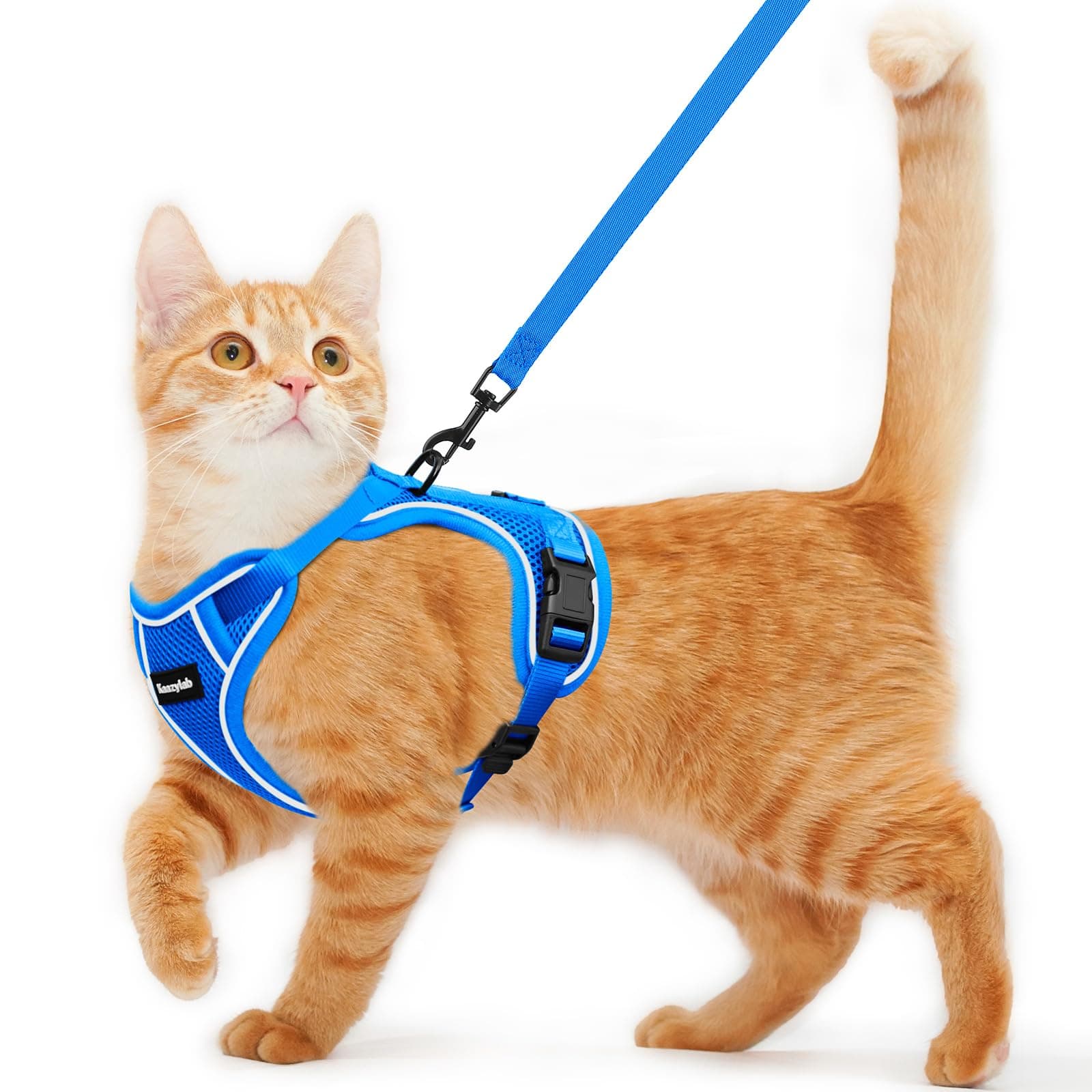 Cat Harness and Leash for Walking Escape Proof Soft Adjustable Cat Leash Breathable Comfortable Vest Easy to Wear Kitten Harness for Outdoor Travel Blue M