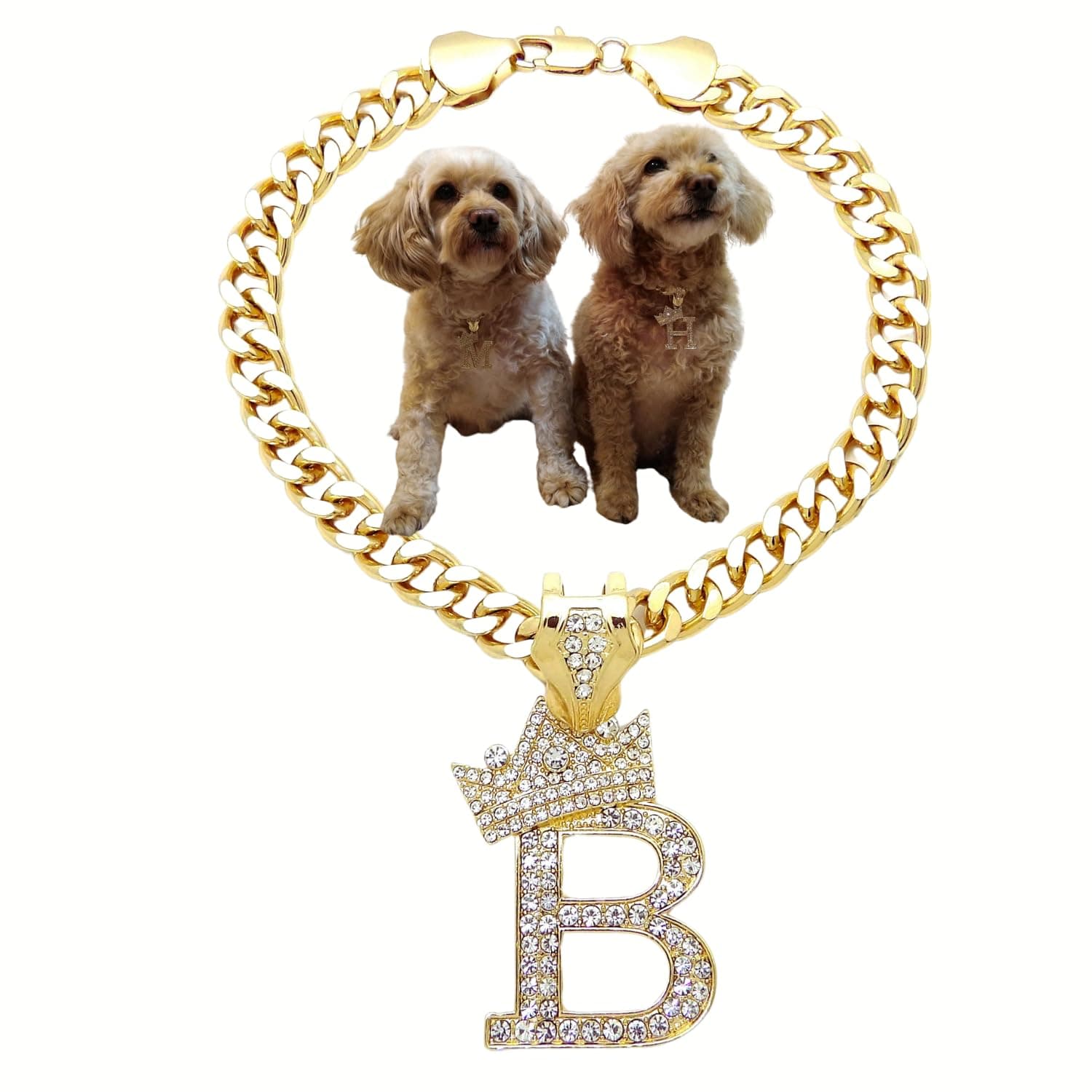 BA UNIQUE FASHION Initial Letter Cuban Chain Dog Chain Pet Chain Pet, Cat, Puppy Necklace (B, 18")