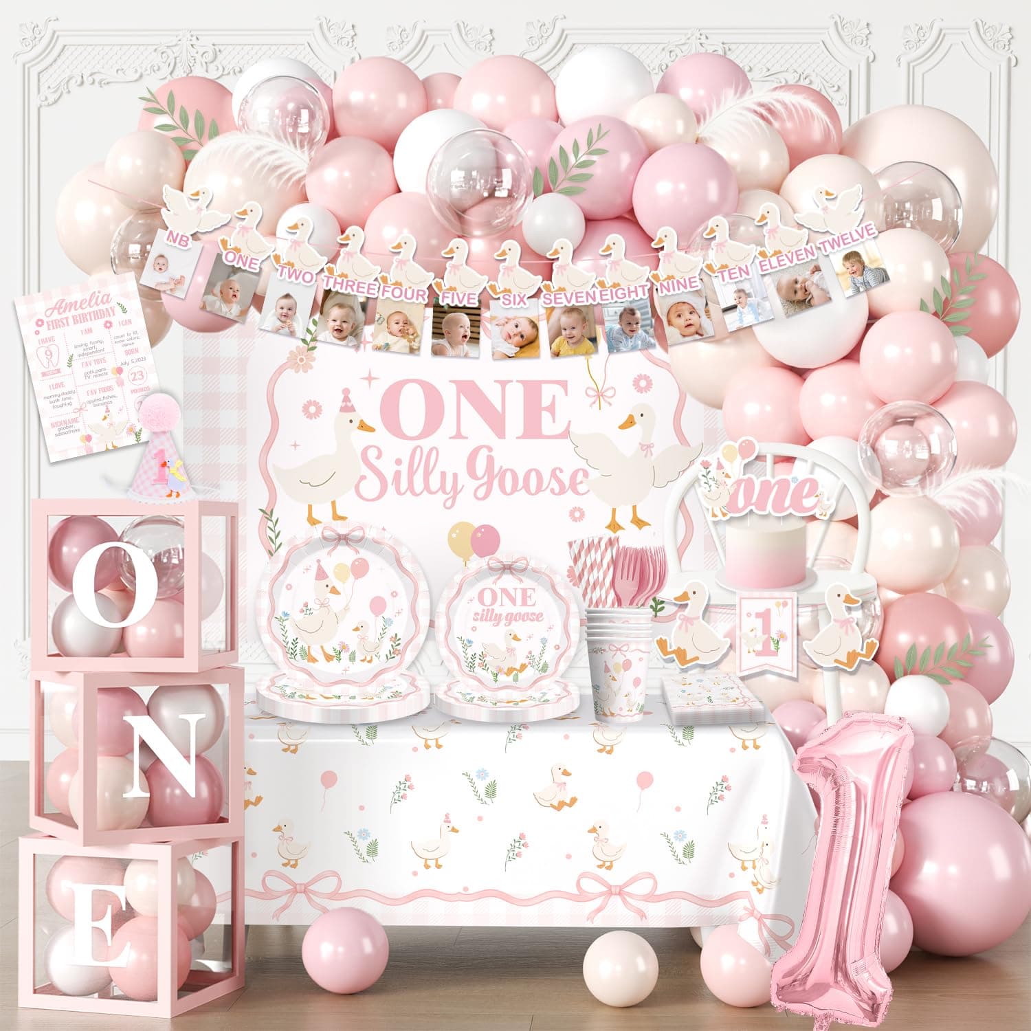 One Silly Goose Birthday Decor Balloon Arch Tableware Set for 25 Guests