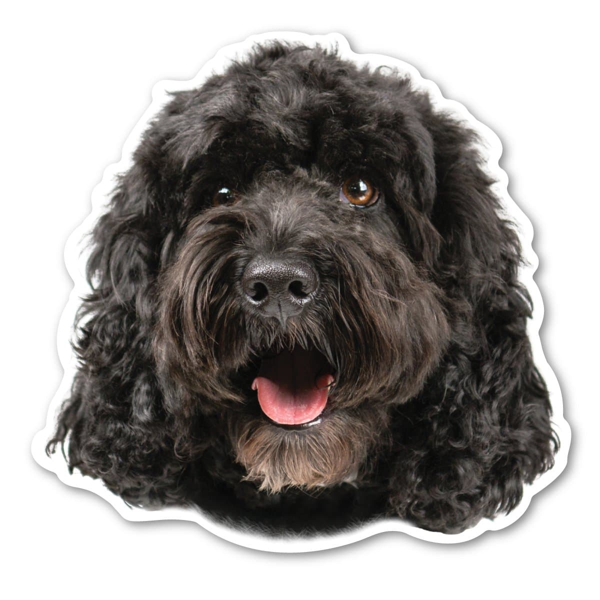 Magnet America (Black) Cockapoo Dog Magnet is 4.73" x 4.9" Made for Vehicles and Refrigerators