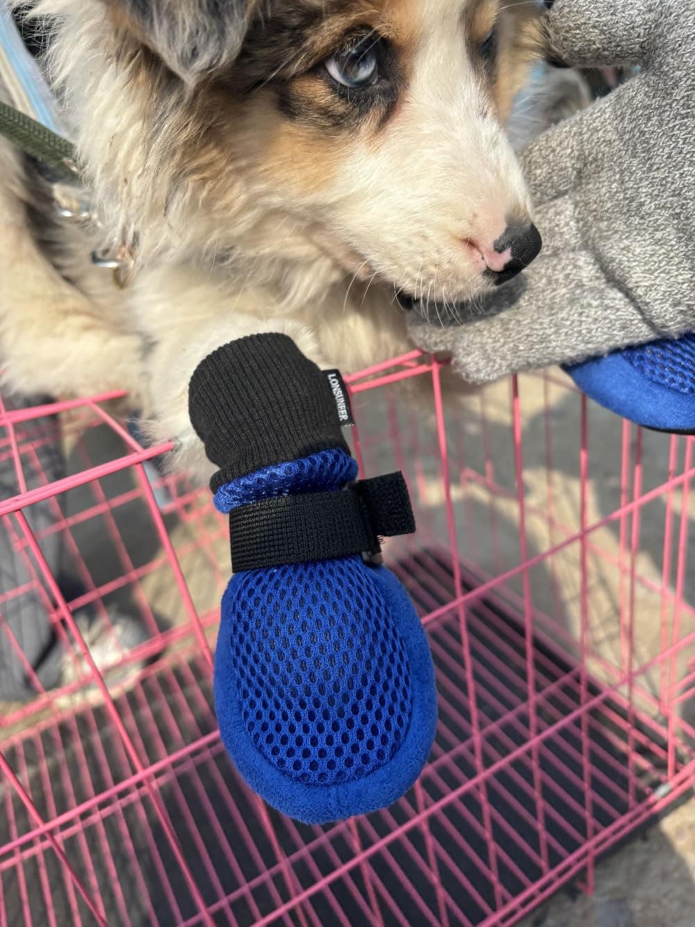 LONSUNEER Paw Protector Dog Boots Set of 4 Breathable Soft Sole and Nonslip in 5 Sizes (Medium, Blue)