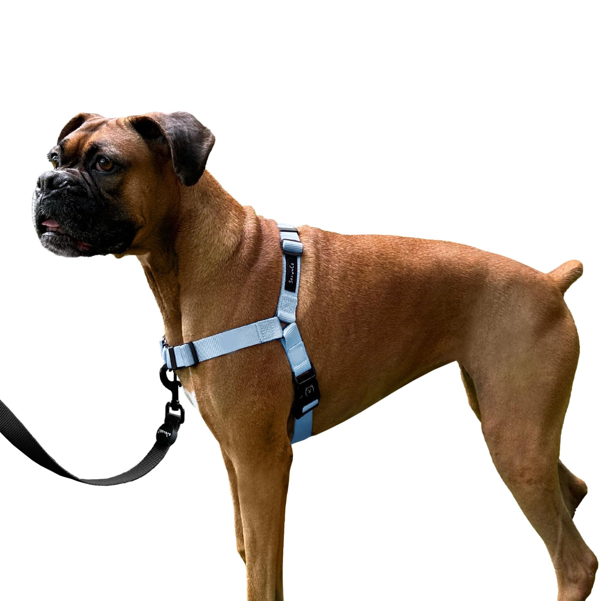 ShawnCo Dream Walk No-Pull Dog Harness (Moonglow, S)