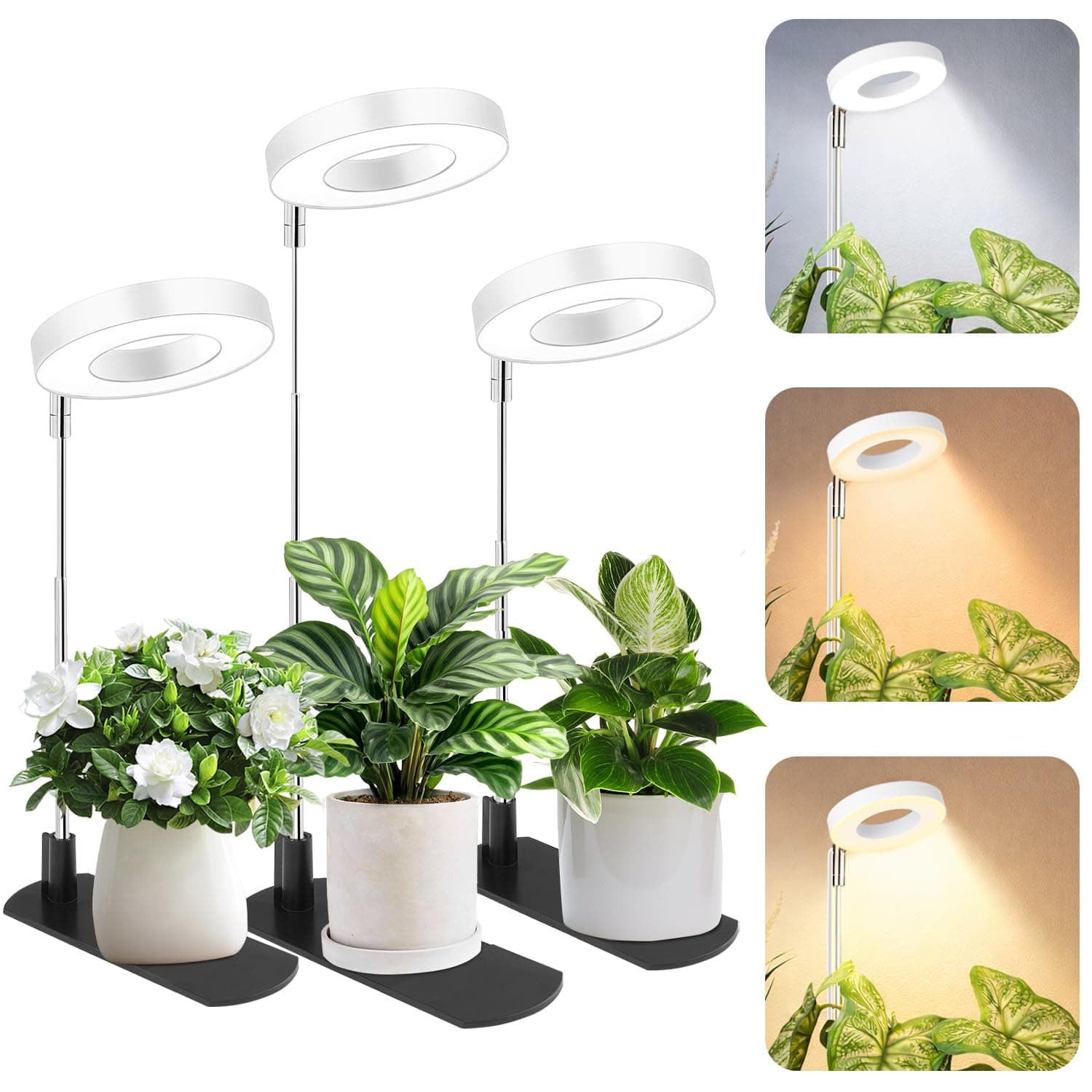 LBW Grow Lights for Indoor Plants, Full Spectrum Halo Grow Light with Base