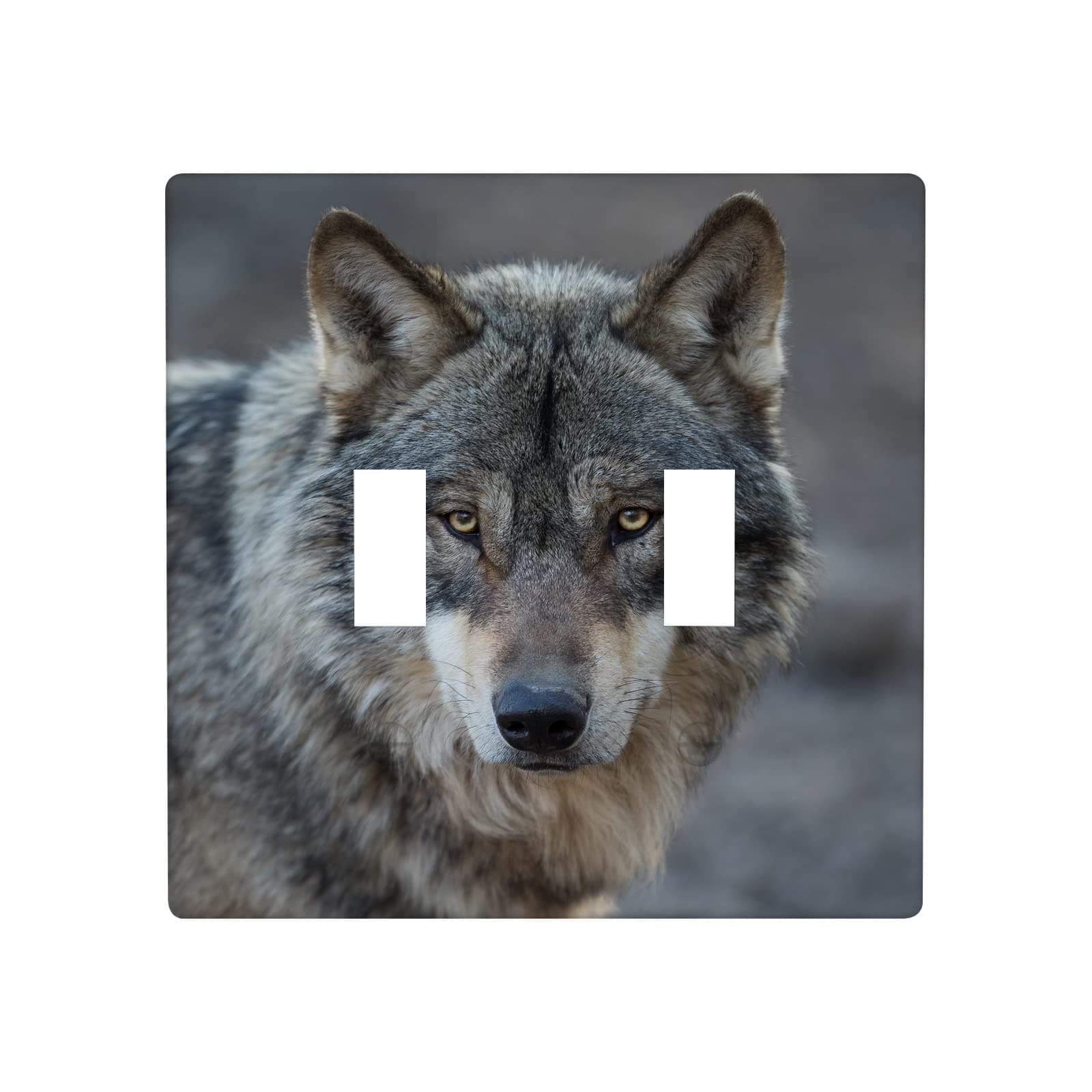 Grey Wolf 2 Gang Light Switch Plate, Beast Wolves Natural Animal Portrait Double Toggle Wall Plate Cover Decorative Electrical Switchplate for Kitchen Bathroom Home Art Wall Panel Decorate Faceplate