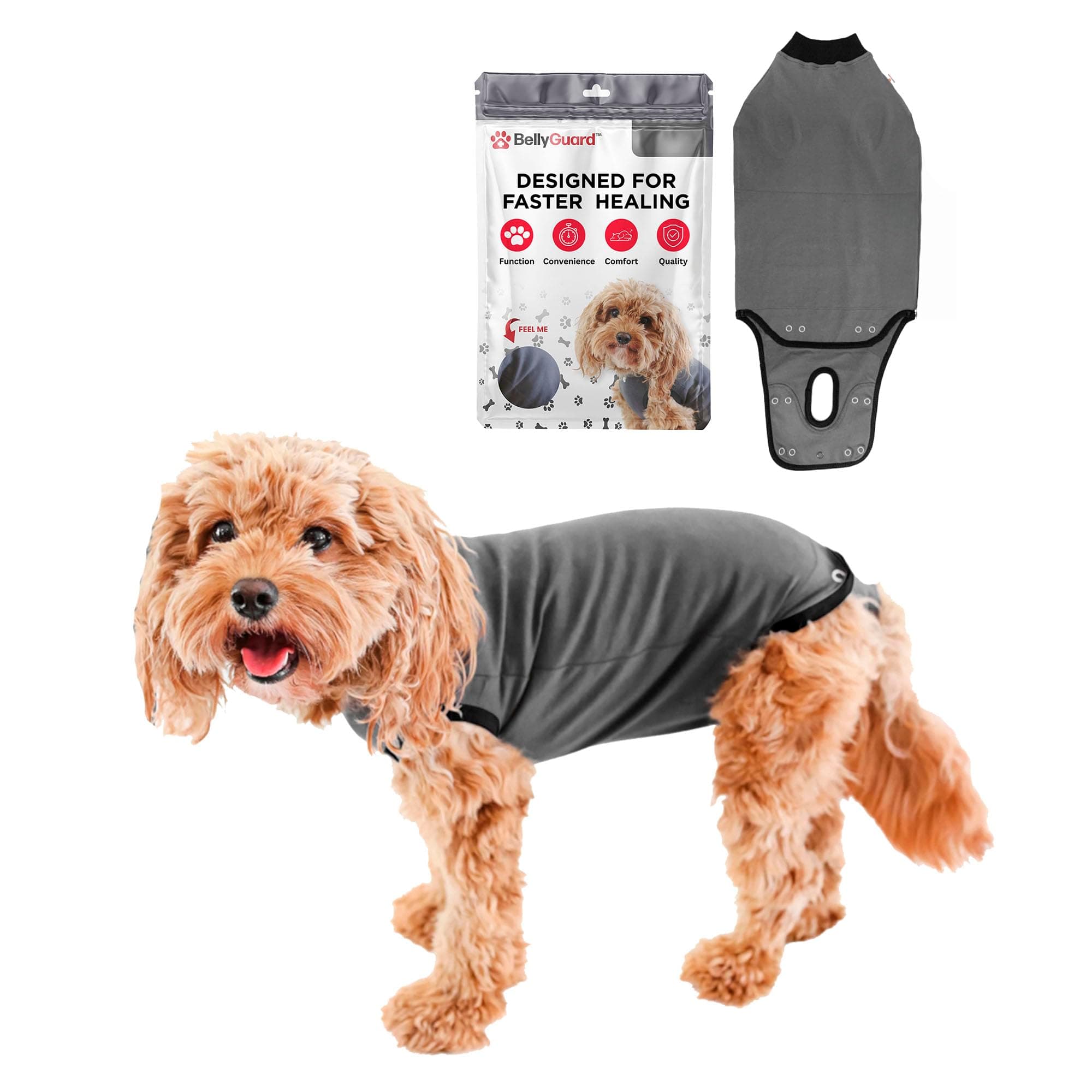 BellyGuard Dog Surgery Suit for Male and Female, Onesie for Dogs After Surgery, Spay or Neuter Recovery Suit for Post-Op Care