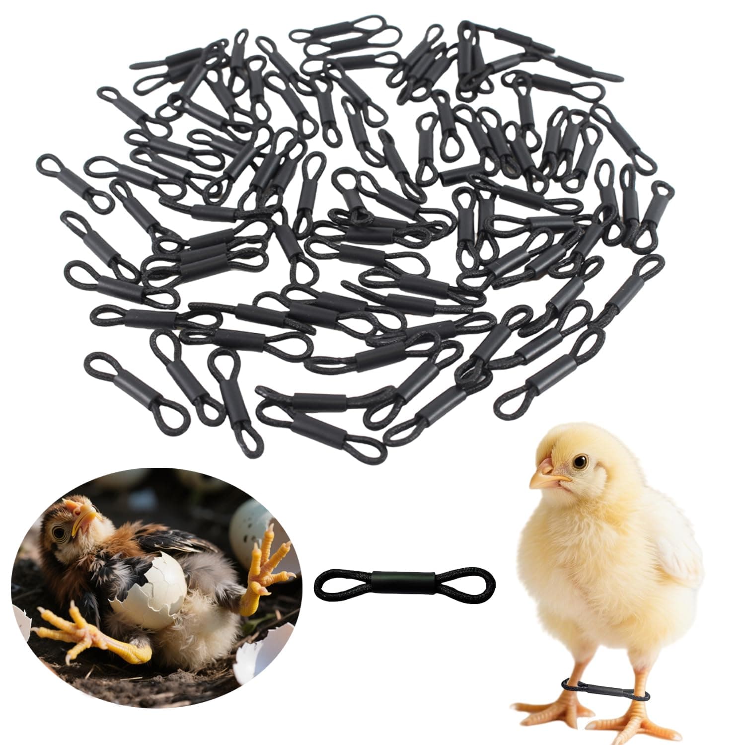 Chick Splay Leg Brace, 100 Pack Adjustable Poultry Hobble Bands for Newborn Poultry, 1-3 Days, Baby Chicks Splayed Leg Bands, Poultry Splay Hobble Brace