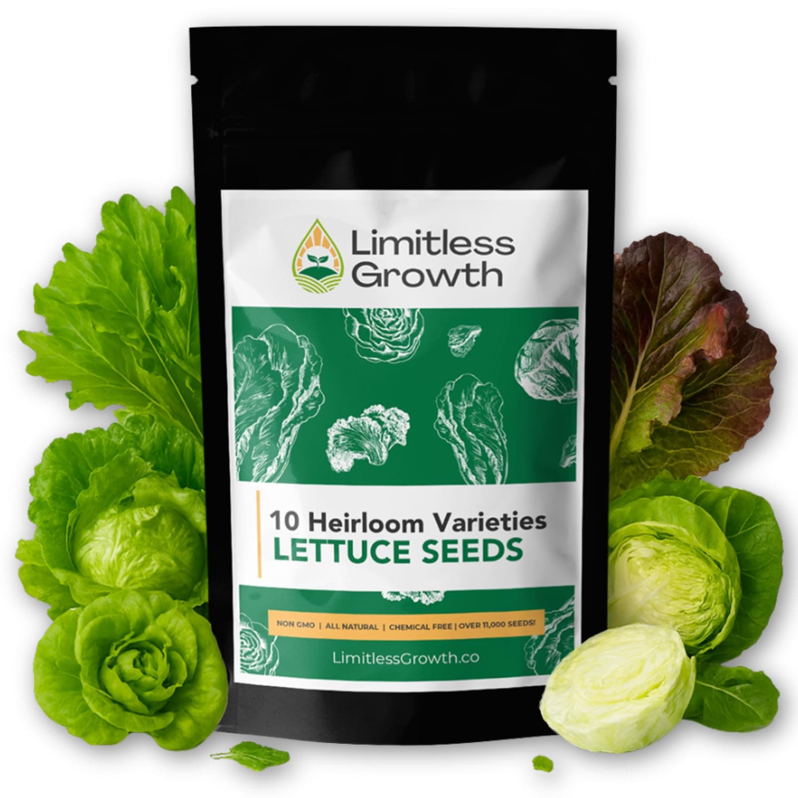 Lettuce Heirloom Varieties Seed Pack | 10 Varieties of Lettuce Seeds for Planting | Diverse Salad Garden, Perfect for Canadian Gardens | Limitless Growth