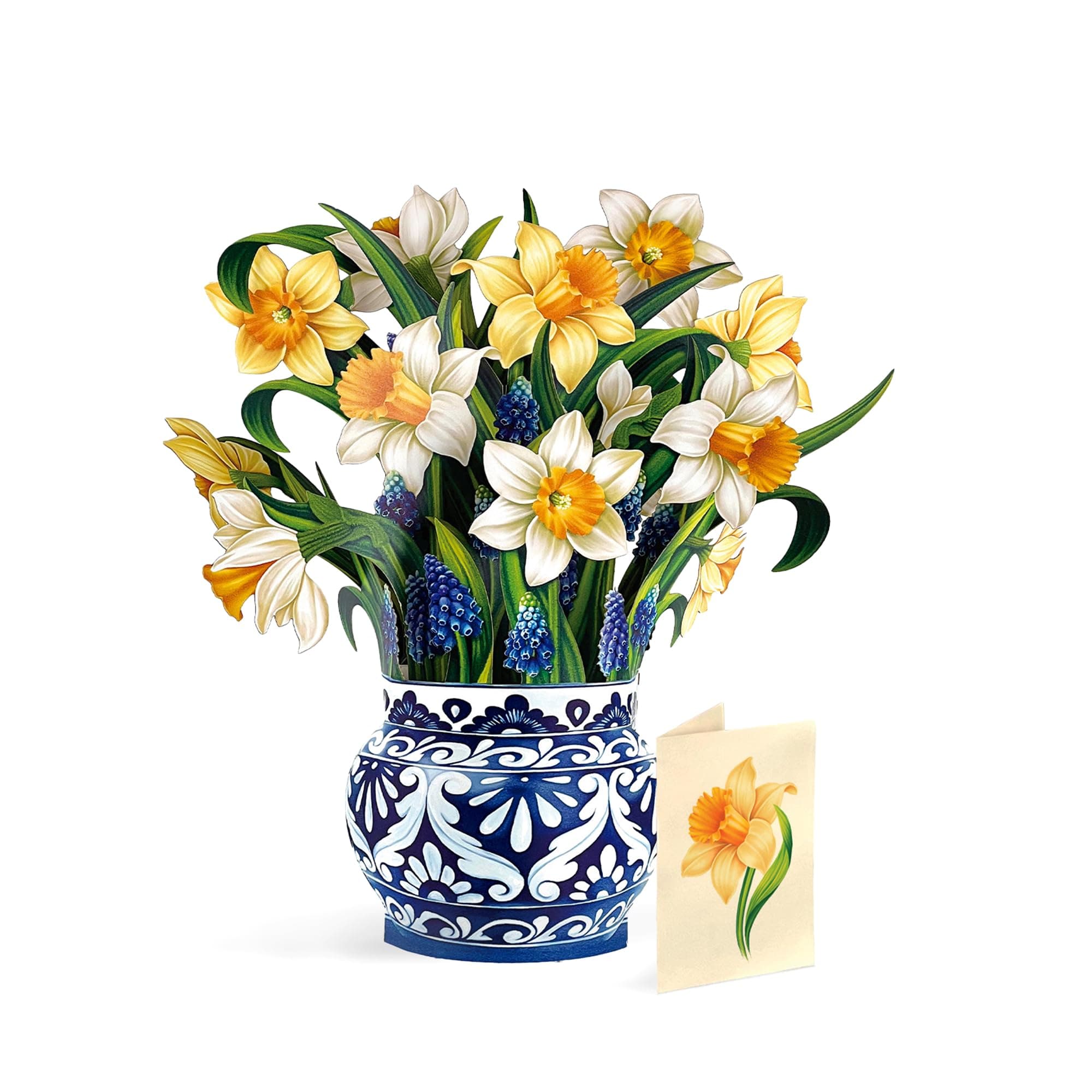 Freshcut Paper English Daffodils 12" Pop Up Card