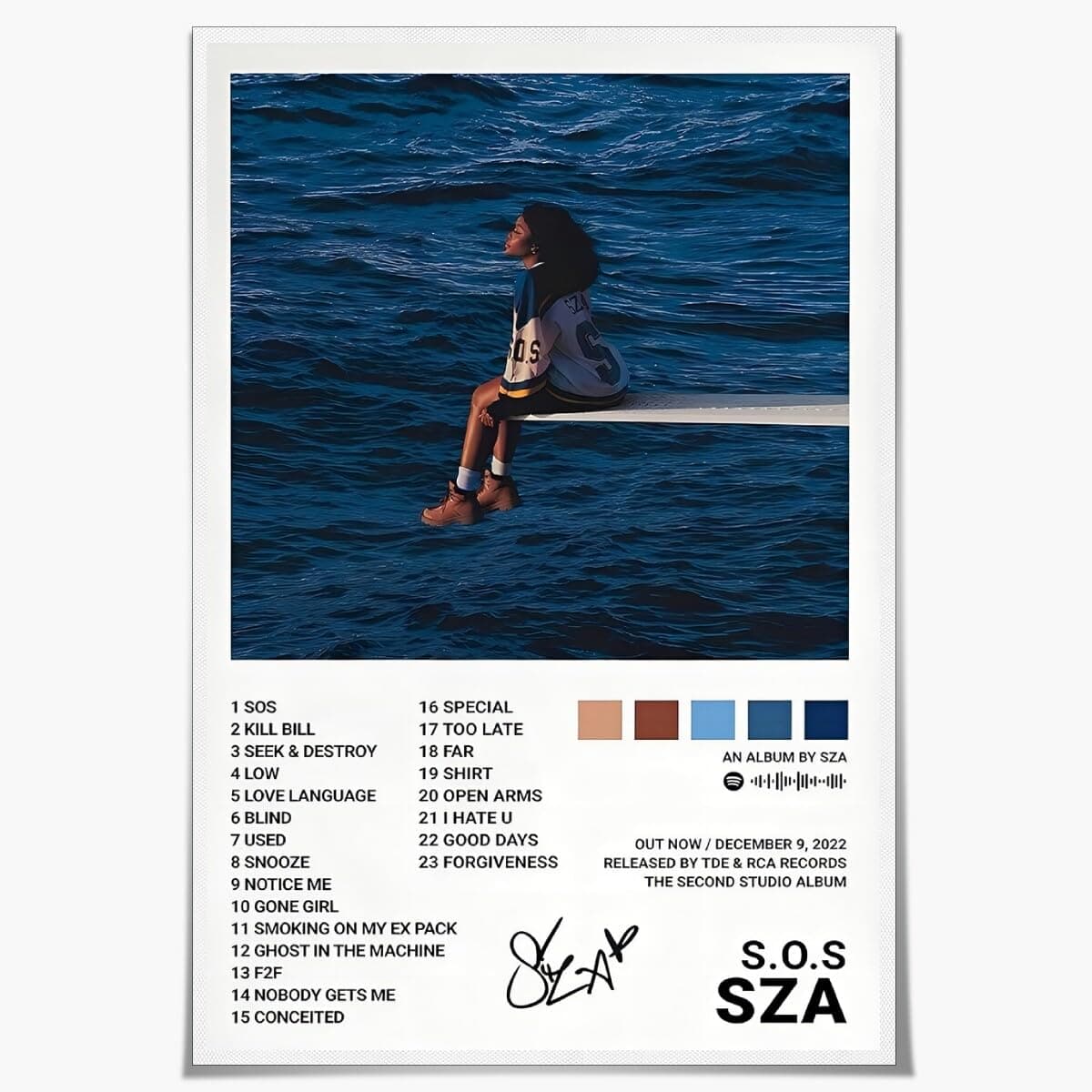 Sza Poster SOS Album Cover Posters Canvas Aesthetic For Bedroom Wall Decor Unframed12x16inch