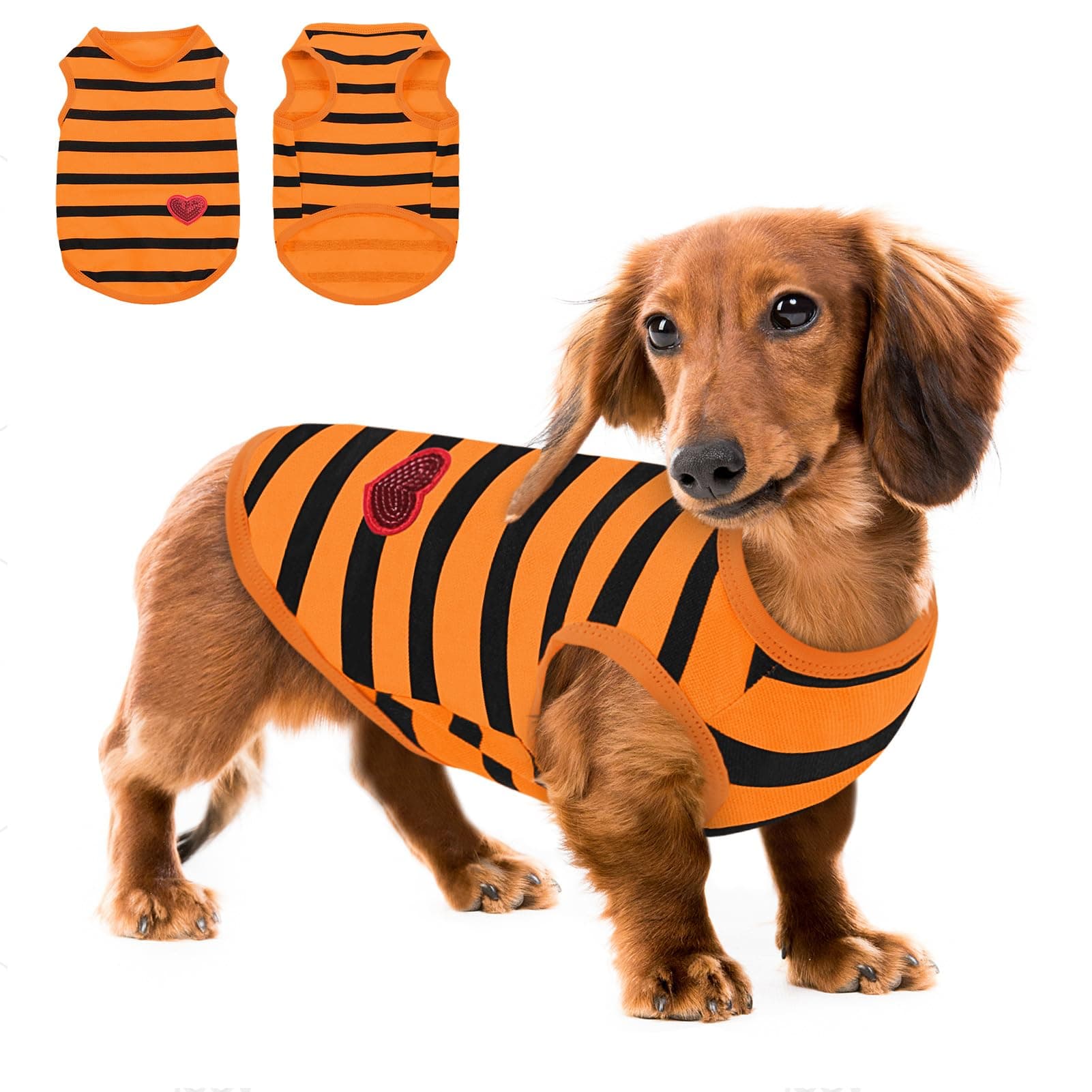 Queenmore Large Dog Shirt,Soft Breathable Dog Shirt for Dogs Cats Boy Girl,Pet Clothes for All Season,Breathable Lightweight Pet Tshirt for Frenchie, Dachshund, Yorkie