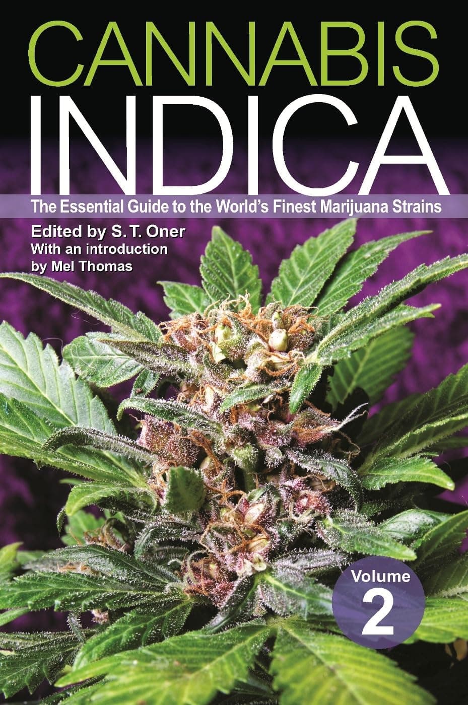 Cannabis Indica: The Essential Guide to the World's Finest Marijuana Strains