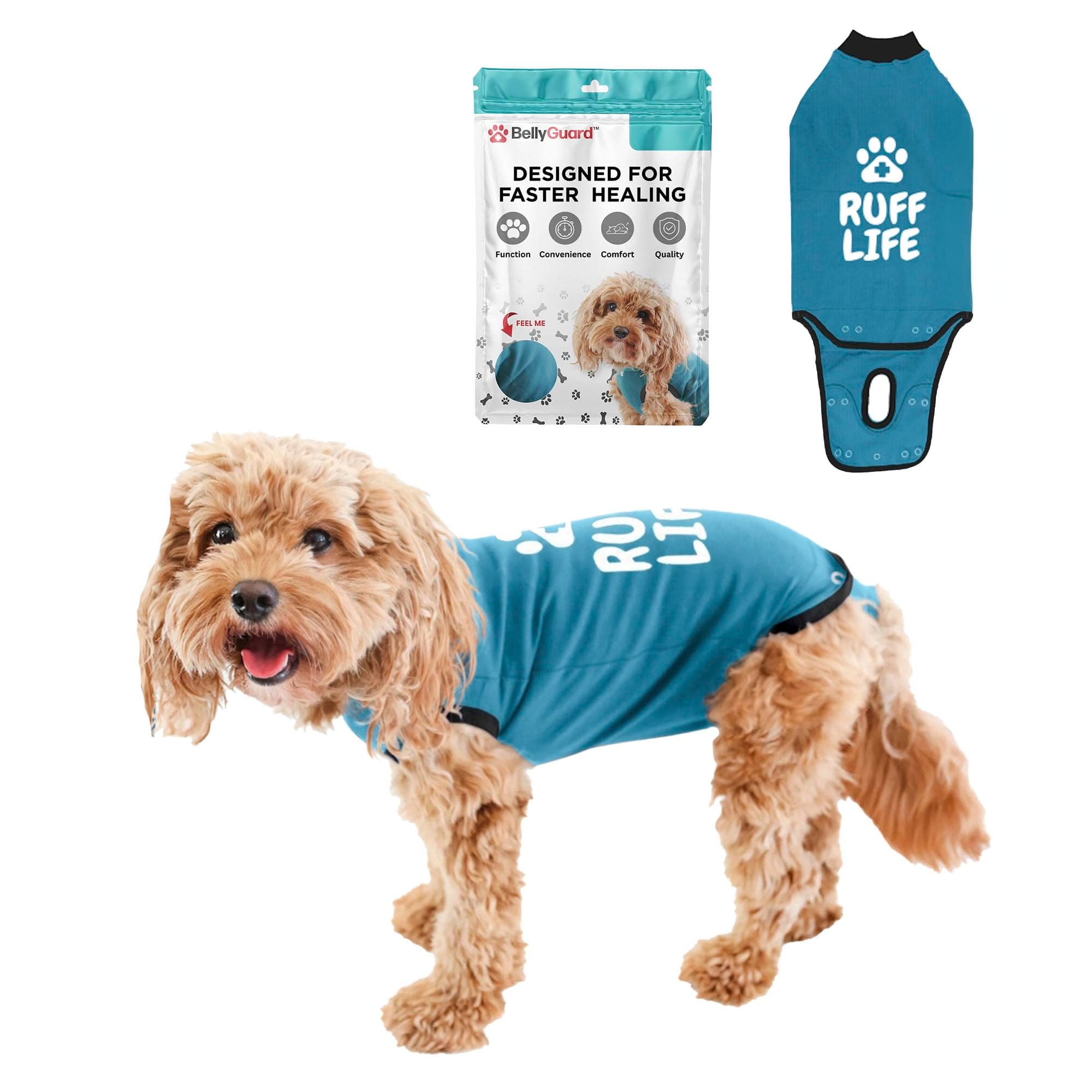 BellyGuard Dog Surgery Suit for Male and Female, Onesie for Dogs After Surgery, Spay or Neuter Recovery Suit for Post-Op Care