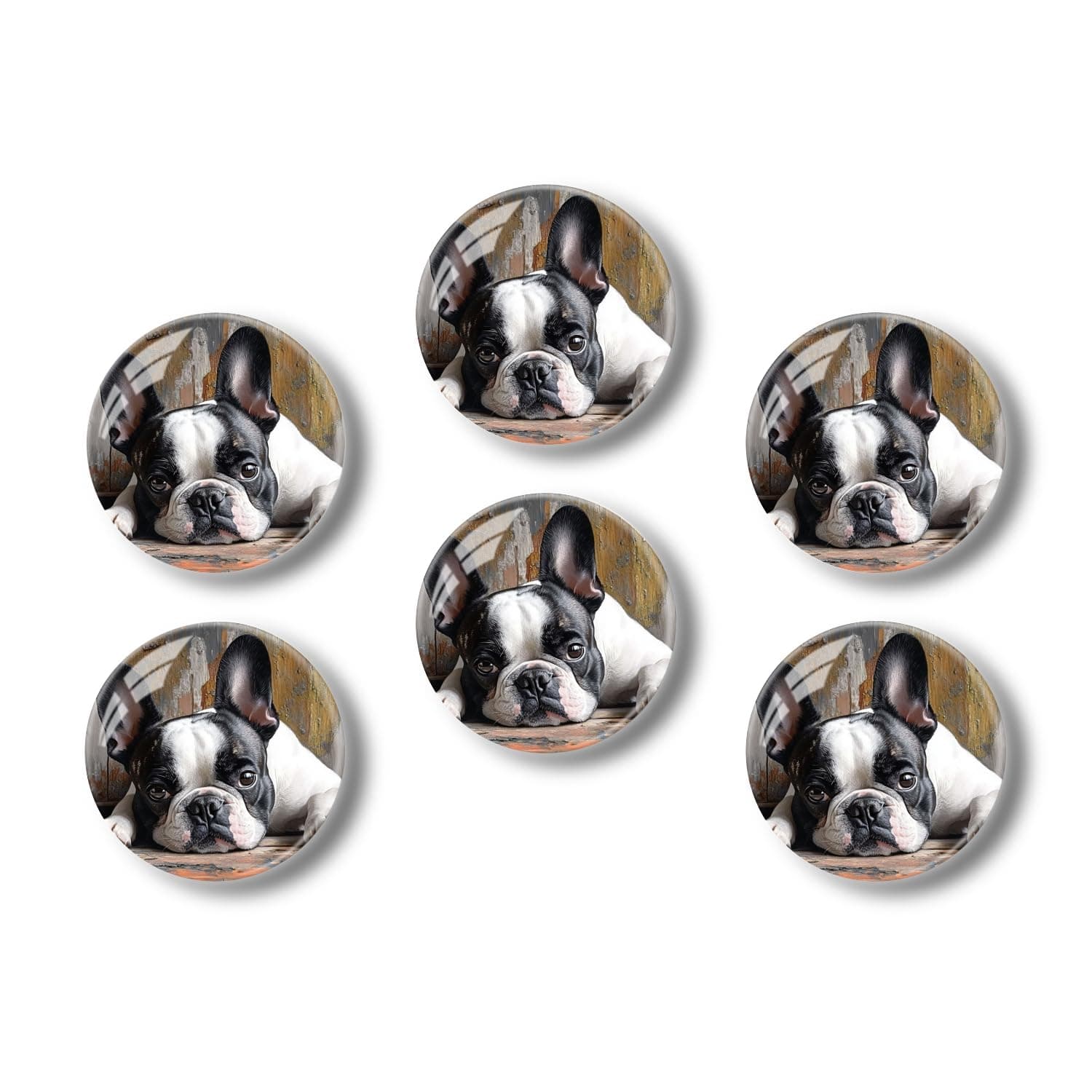 Glass Refrigerator Magnet 6Pcs Magnetic Fridge Sticker,Decor for Kitchen,Whiteboard,Cabinet,French Bulldog with Black and White Fur Laying On The Floor